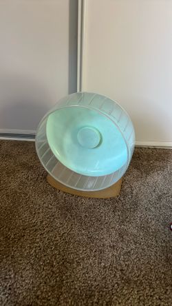 Rodent Exercise Wheel