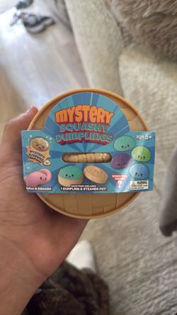 mystery dumplings squishy stress toy