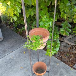 Plant Stand Wrought Iron 57" Tall