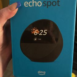 Echo Spot