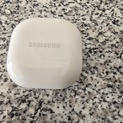 Samsung Galaxy FE Earbuds