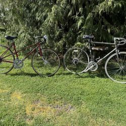 Two Bike Bundle (26”)