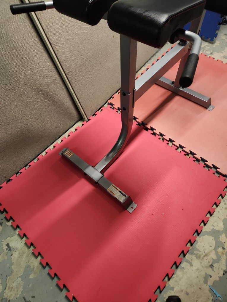 EXERCISES BACK EXTENSION MACHINES