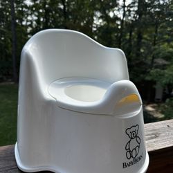 Toddler Potty Chair