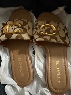 Coach Women Brown/Gold Slides