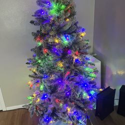 Christmas Tree For Sale 