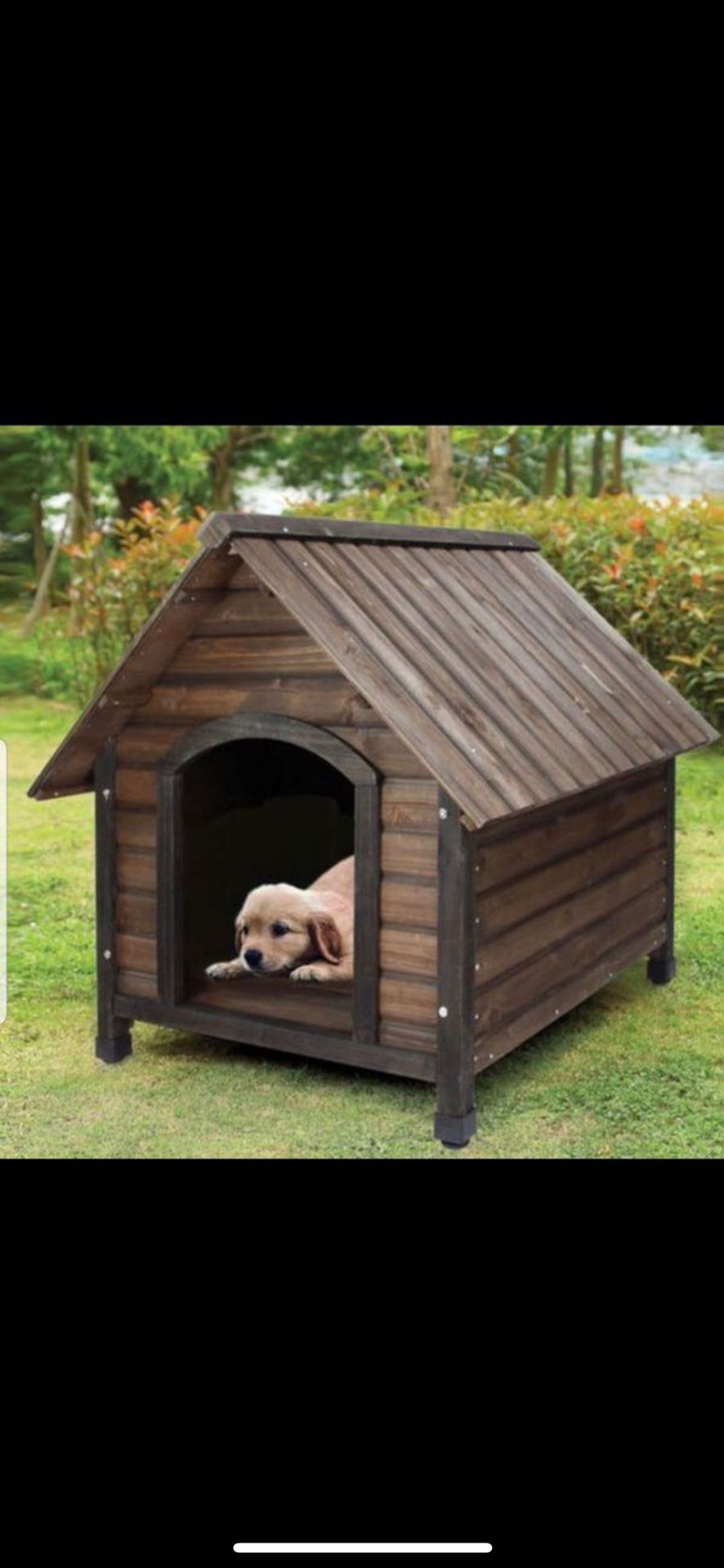 Brand new small wooden doghouse! Nueva casita chica de madera para mascota!!