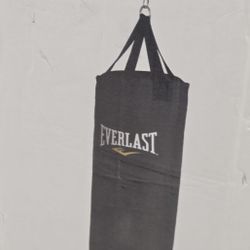 Everlast 70LB Heavy Bag 
