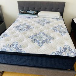 New Queen Mattresses Available Today
