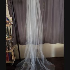 Cathedral Length Veil