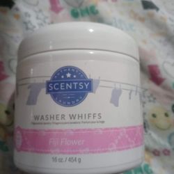 Scentsy Washer Whiffs 