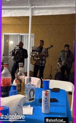 Acordeon Bajoquinto Y Bajo