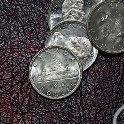 Canada Silver Dollars AT SPOT!