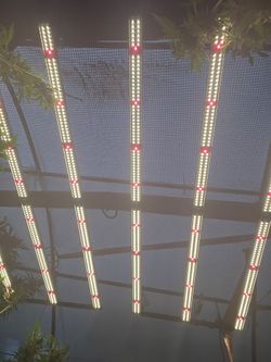 LED GROW LIGHTS ENFINITY