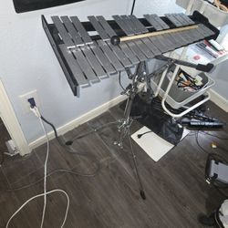 Kid Xylophone School Band