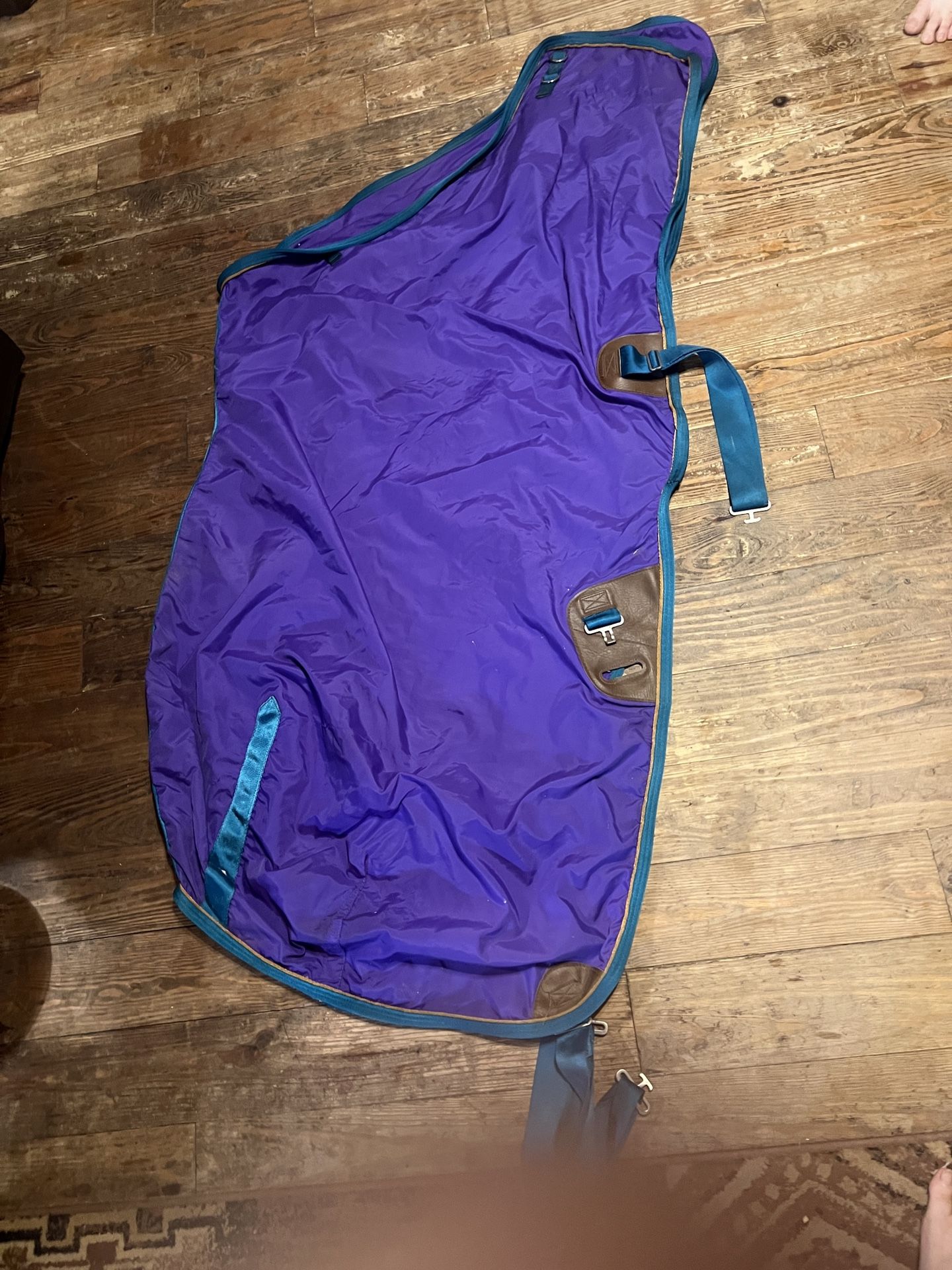 Horse Sheet
