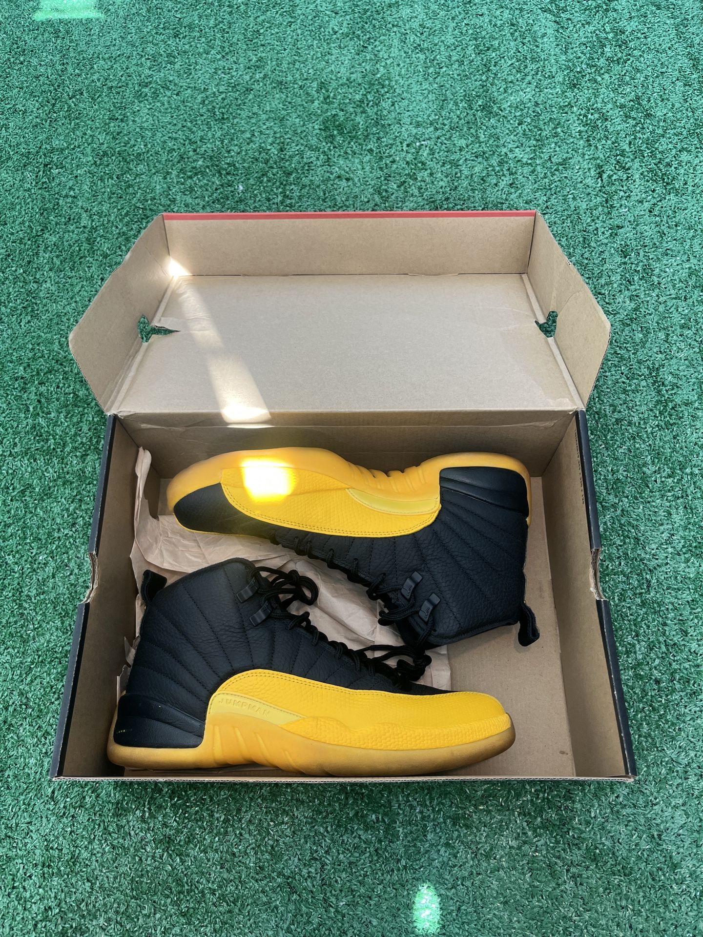 Jordan 12 Black University Gold Size 8