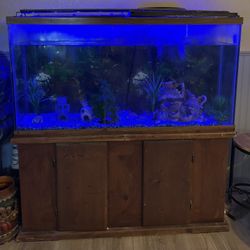 50 Gallon Fish Tank With Accessories 
