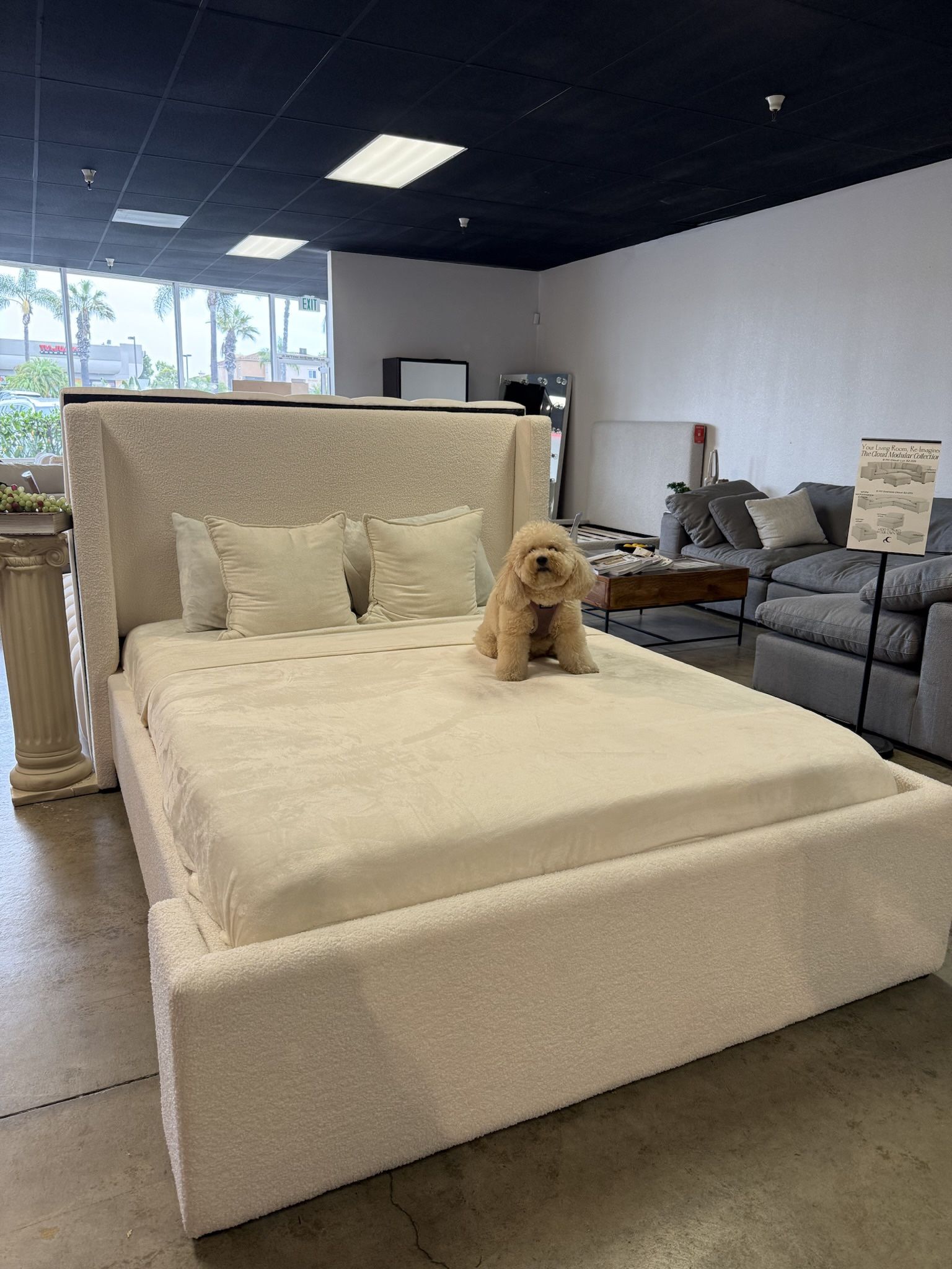 NEW Arhaus Style White Boucle King / Queen Bed Frame With Headboard And Footboard — FREE Delivery