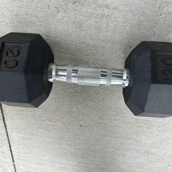 20 Lbs Dumbbell 