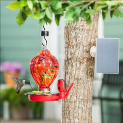 New in box Evergreen
Solar Smart Hummingbird Feeder Sells at Costco for $110+tax