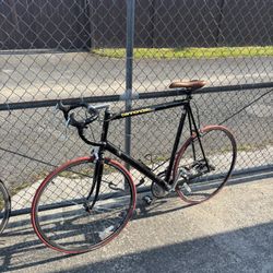 cannondale lightweight tall bike