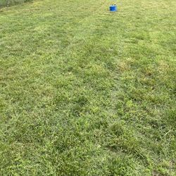 Grass Cut 