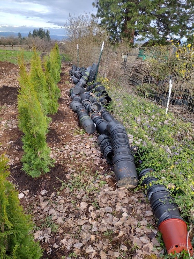 vendo pots Pra Plantas $50 cents each