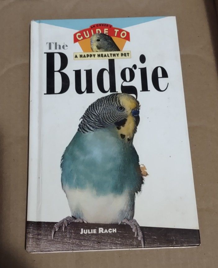Guide To A Happy Healthy Pet. The Budgie