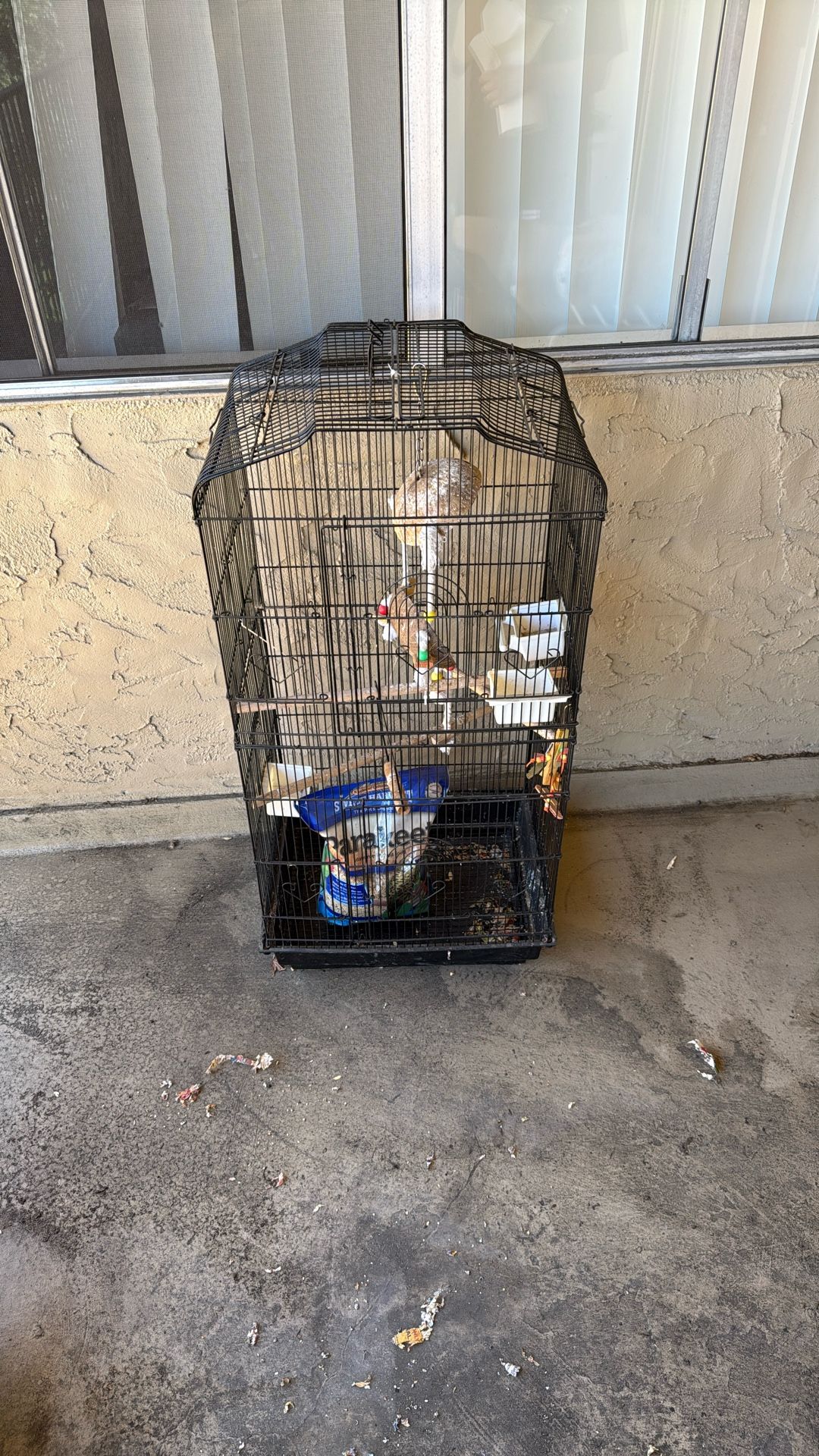 Bird Cage