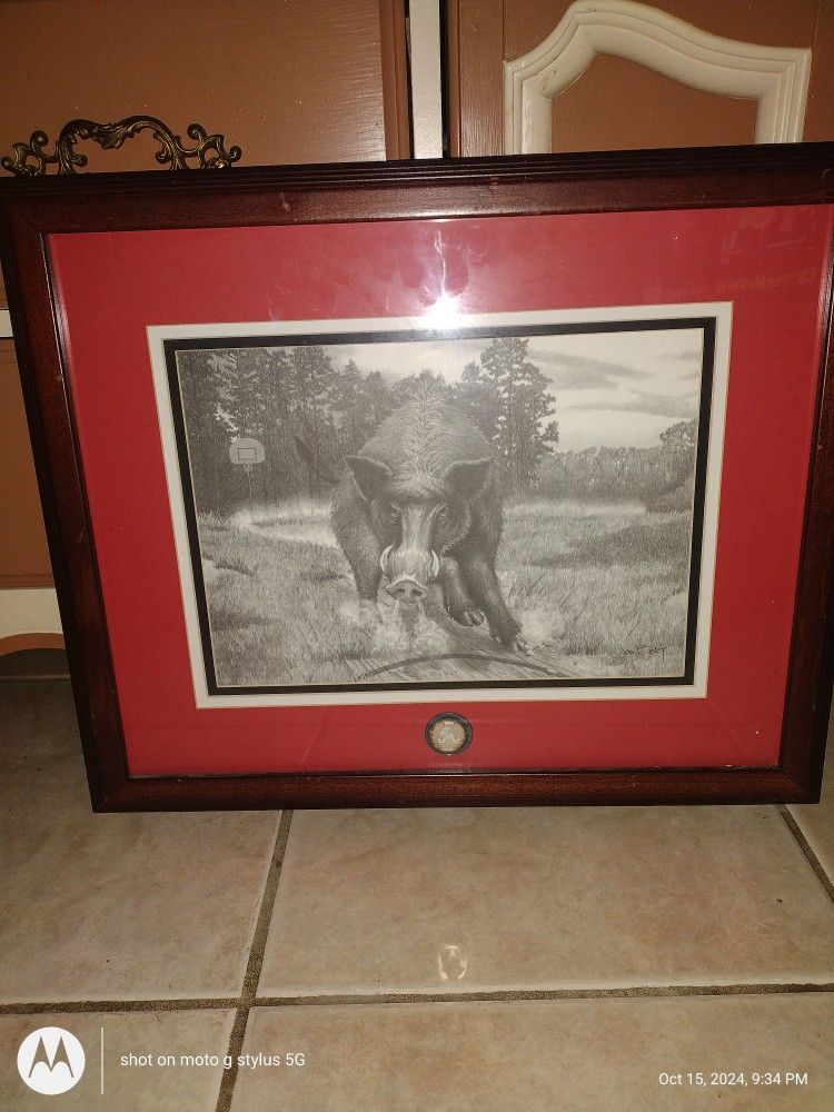 Arkansas Razorback Championship 1994