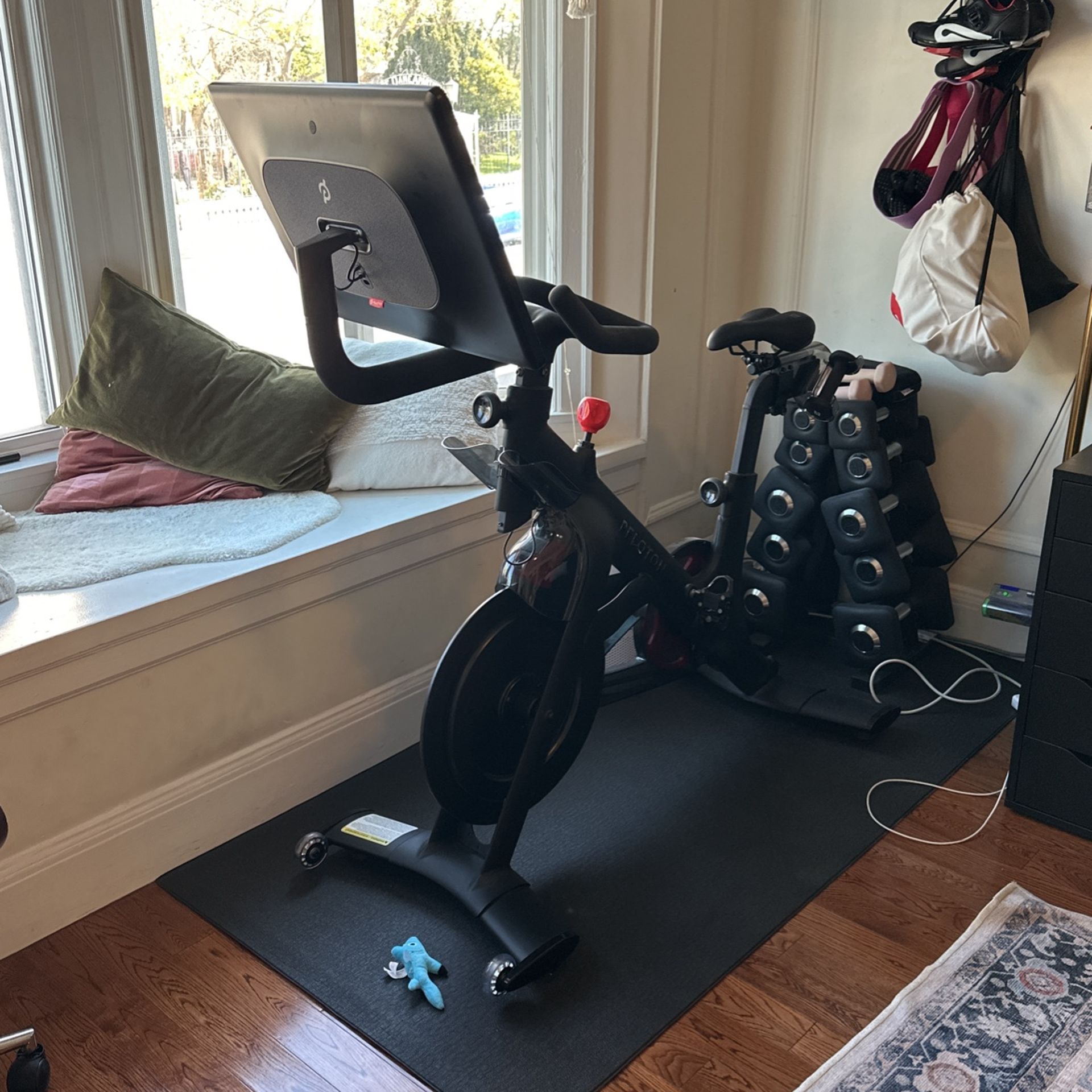 Peloton Bike +