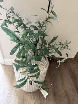 Artificial Olive Plant And Vase Medium Size