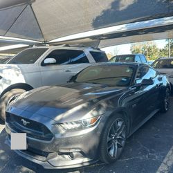 MUSTANG 5.0