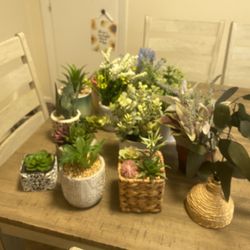 16 Artificial succulents 