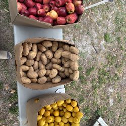Organic produce- lemons,apples and potato’s