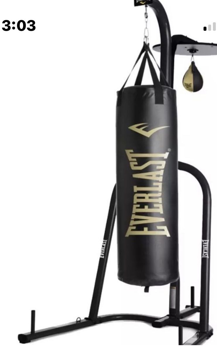 Punching Bag Stand and Plenty Of Gloves