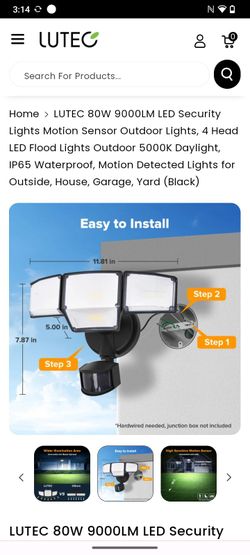 Lutec Security Light