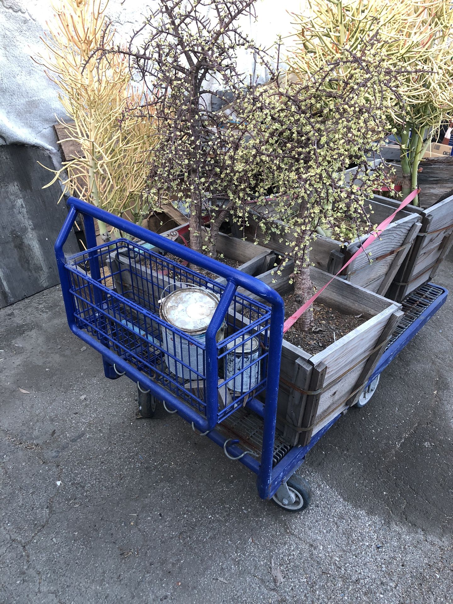 Blue Carts In Really Good Condition