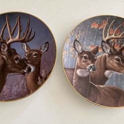 Hamilton Collection Set Of 2 Plates Portraits Of The Wild James Meger Numbered