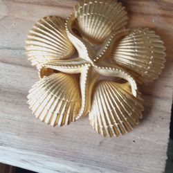 Vintage Gold Tone Seashell Starfish Brooch