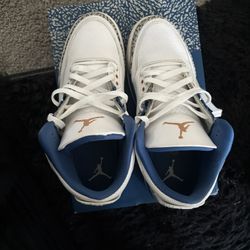 Jordan 3 Washington Wizards 