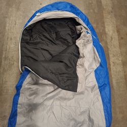 Marmot. Sleeping.  Bag