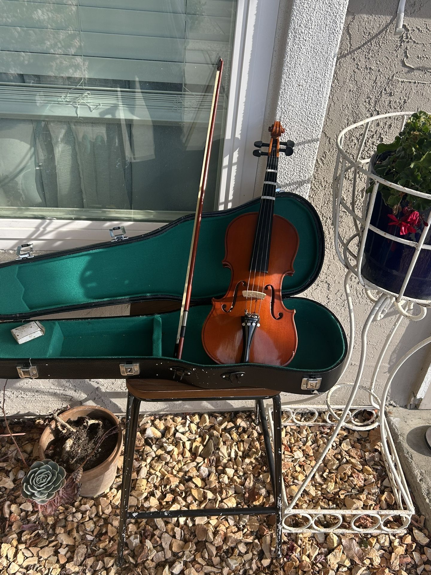 Violin 🎻 Vintage 1/2