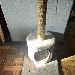 Cat Stand 