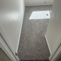 Carpet 