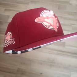 Toronto Blue Jays Fitted Hat 7 5/8