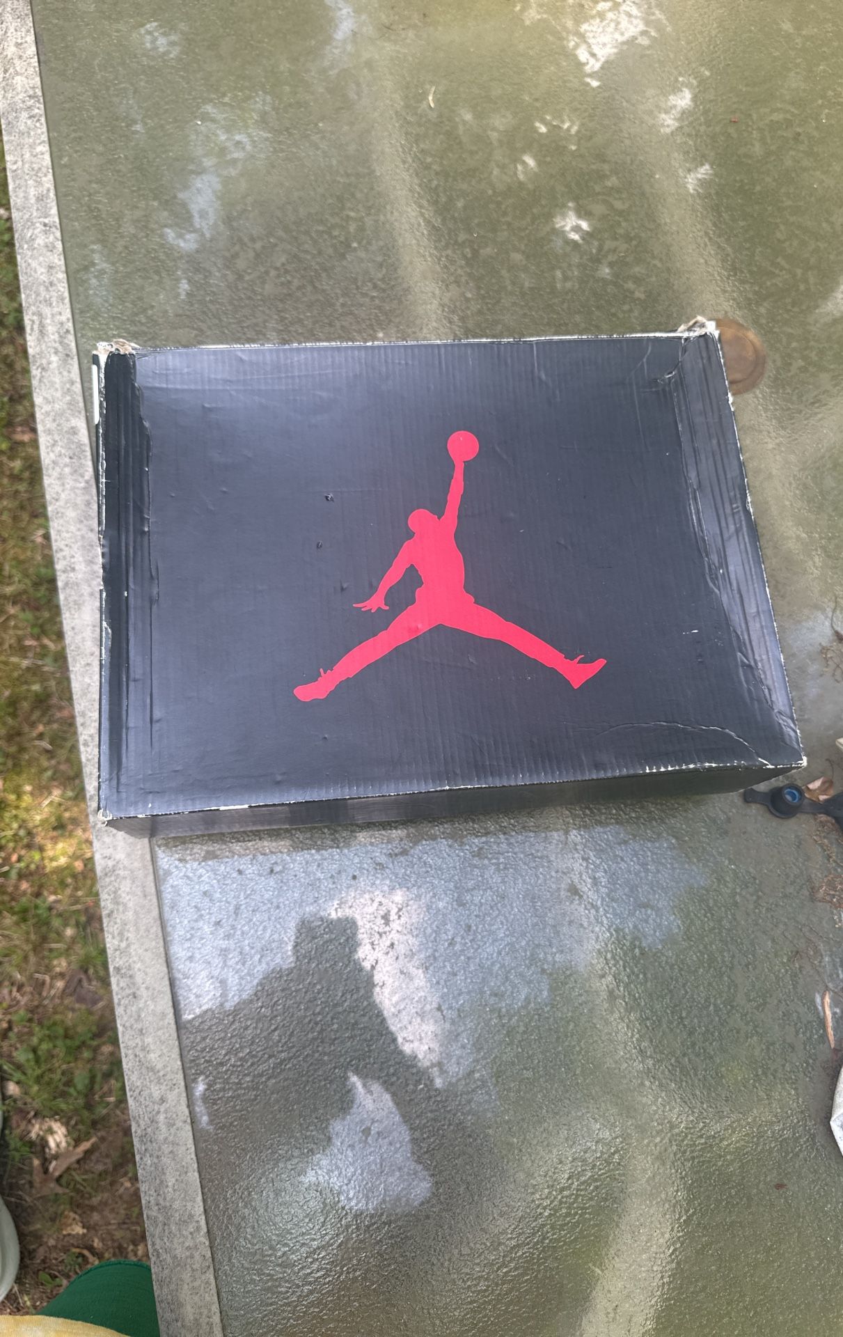 Alternate Grape Air Jordan 5s Size 10.5