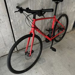 Trek FX2 (Large)