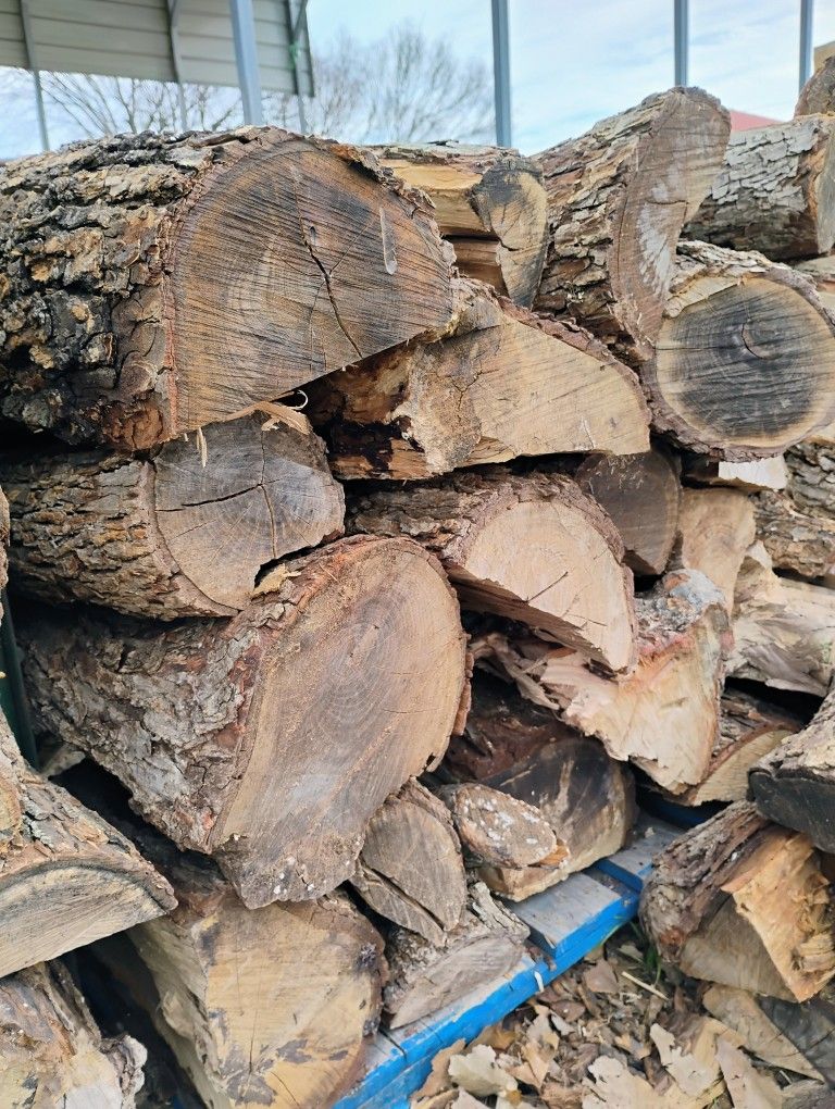 Oak Firewood